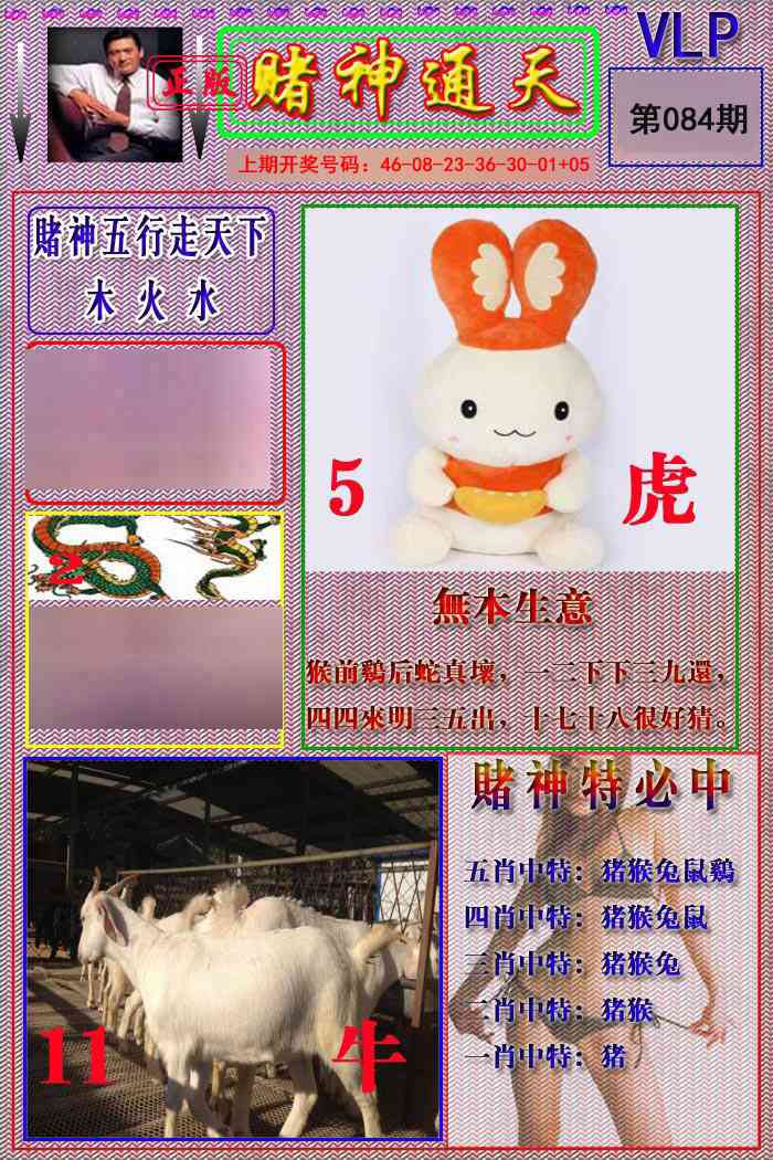 084期赌神通天报[图]